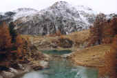 Mélèzes du Lac Bleu d'Arolla. Valais. Alpes. CH. Oct 98.